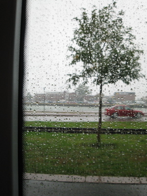 a car in rain