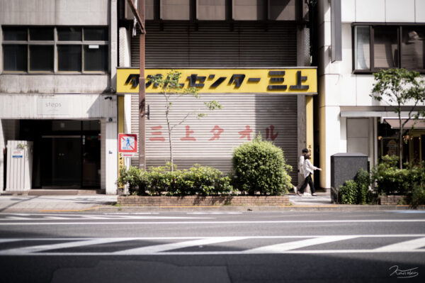 yellow 2 photo by Kanoko Art