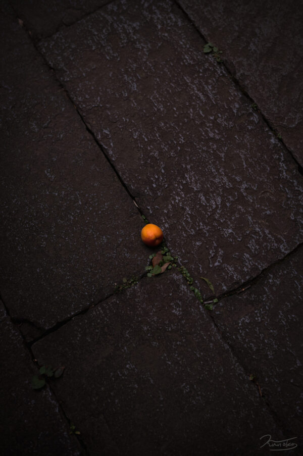 un abricot photo by Kanoko Art